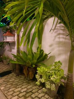 Guesthouse Bodensee - 5