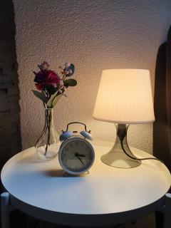 Schöne 3 1/2 Zimmer Wohnung in der Zentralschweiz - - 8