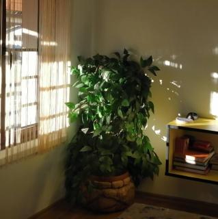 Apartman Anja - 9