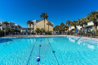 Southbay 100 - Dolphin Watch - Destin - 8