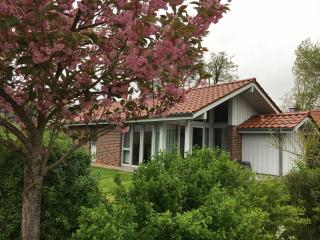 Ferienhaus Mueritzhus an der Mueritz - Marienfelde - 6