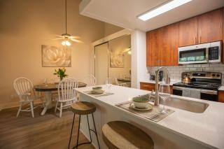 Huge Oceanside Private 2BR Apartment-Pool-Gym-Spa - 7