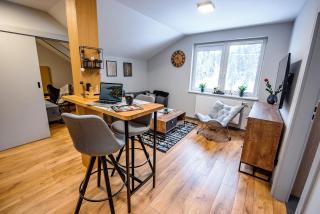 Wójcik SPA - Krynica Zdrój - 1