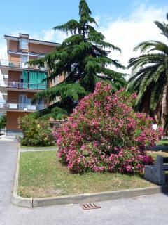 Al Pepe Rosa di Borghetto - Borghetto Santo Spirito - 6