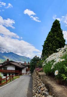 Chèvres à Cheval - Apartment - Aosta - 9