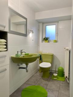 Le Pi'style(chambre,cuisine,salle d’eau,terrasse) - Ingwiller - 2