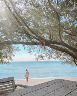 Wilson's Retreat - Gili Trawangan - 0