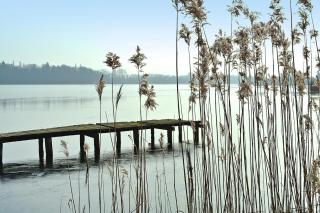 Ferienhaus am Wockersee in Parchim - 5