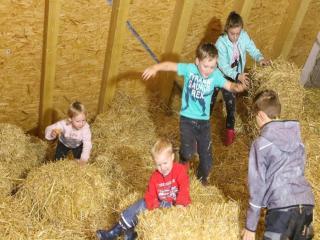 Ferienbauernhof Moarhof - 2