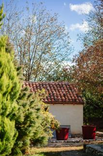 casa akacia - Telavi - 8