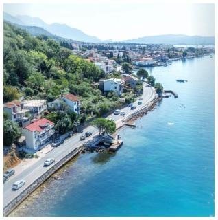 Olive tree apartments - Tivat - 8