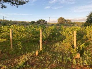 StilCreek - Stilbaai - 9