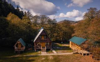 Cottage Tsivtskala in Racha, near Shaori - Kʼveda Tʼlughi - 6