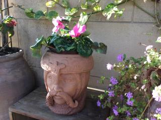 CESARE'S HOME - Catania - 2