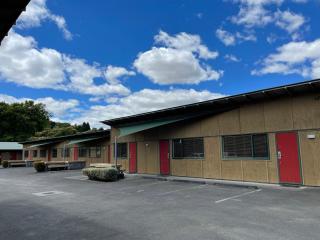 Waitomo Lodge - Te Kuiti - 7