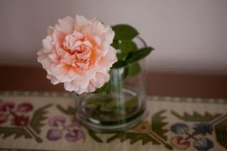 Nicky Apartment - Lefkada - 6
