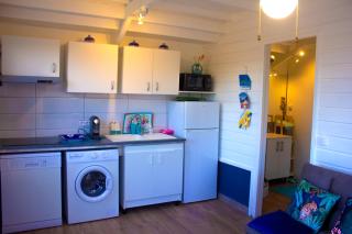 Les Bougainvilliers Tropicaux - 5