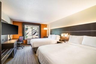 Holiday Inn Express & Suites Custer-Mt Rushmore - Custer - 8