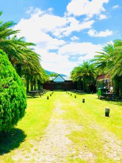 Ruisui Palm Lakes B&B - Ruisui - 1