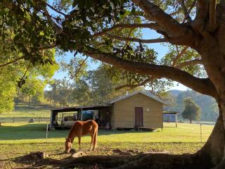 Stay at the Barn... Immerse yourself in nature. - Kenilworth - 7