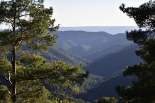 The Mountain House - Escape city life - 1