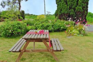 Holiday home in Telgruc-sur-Mer, near beach - Telgruc-sur-Mer - 5