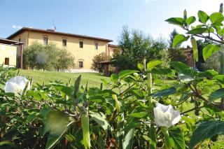 Agriturismo Poggio al Sole, Vinci - 7