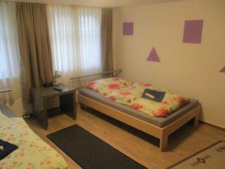 Ferienzimmer Monteurzimmer Stadtmitte Nördlingen - 2