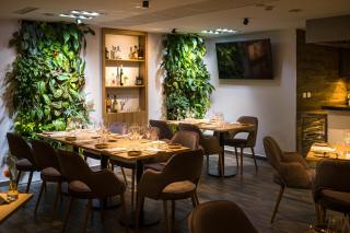 Kistücsök Food & Room - 4