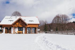 Cinege Vendeghaz/Casa de oaspeți Pițigoi - Izvoare - 0