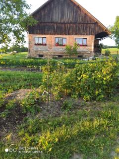 Apartmán U Milušky - Brocná - 0