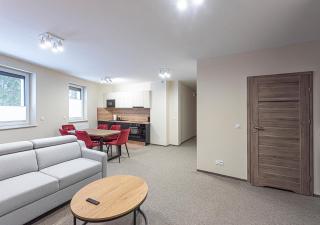 Apartament Piano - Świeradów-Zdrój - 6