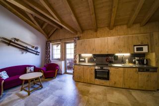 Chalet Stegerhof Premium App Reiteralm - Schladming - 3