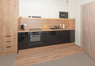 Apartament Piano - Świeradów-Zdrój - 3