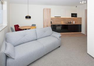 Apartament Piano - Świeradów-Zdrój - 0