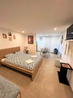 Studio Le Plum'Art, 10mn Zoo de Beauval avec jardin - Noyers-sur-Cher - 0