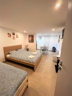 Studio Le Plum'Art, 10mn Zoo de Beauval avec jardin - Noyers-sur-Cher - 1