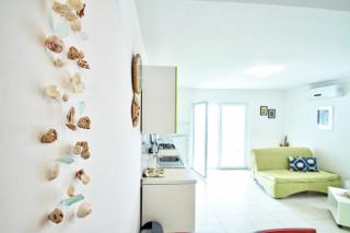 Seashell Vinjerac - 4