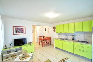 Seashell Vinjerac - 3