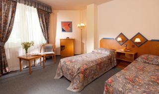 Hotel Concertino Zlatá Husa - 8