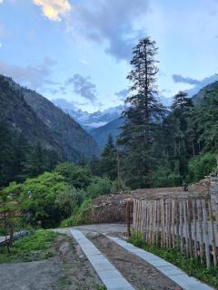 The Hillside - Kasol - 4