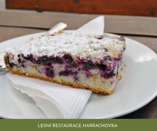 Lesní Restaurace Harrachovka - 6