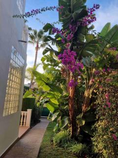 Town-House-Style Villa - on the Golden Mile - 8