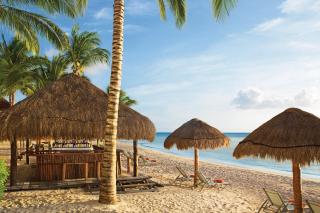Dreams Cozumel Cape Resort & Spa - Cozumel - 4
