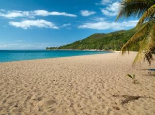 LE MANGUIER - Baie-Mahault - 2