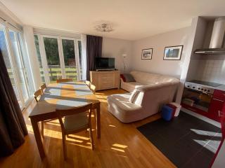 Schoenblick Mountain Resort - by SMR Rauris Apartments - Inc Spa close to Gondola - Rauris - 1