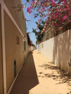 La villa du cocotier - 9