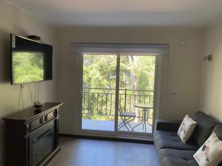 Departamento Pucón Andino - 4