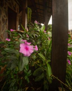 pousada valle das pedras - 1