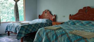 Cabaña Sak Ja Selva Lacandona - 9